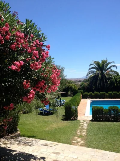 Hotel La Peña — Foto 11