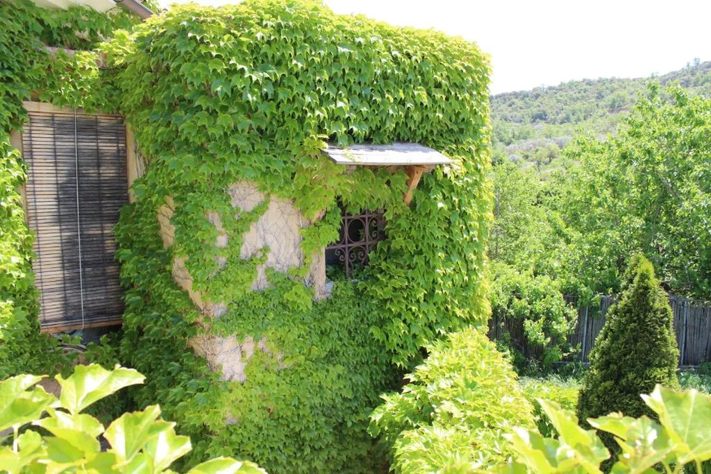Superior Double Room with Mountain View — Hotel La Posada de Lalola