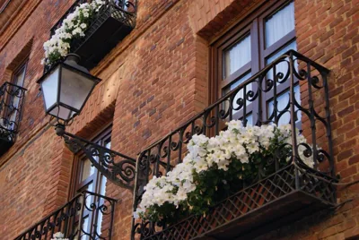 Hotel La Posada Regia — 写真 10