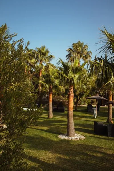 Hotel La Torre — 照片 7