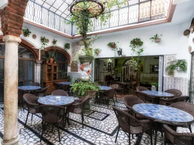 Hotel Las Palmeras by Vivere Stays — foto 12