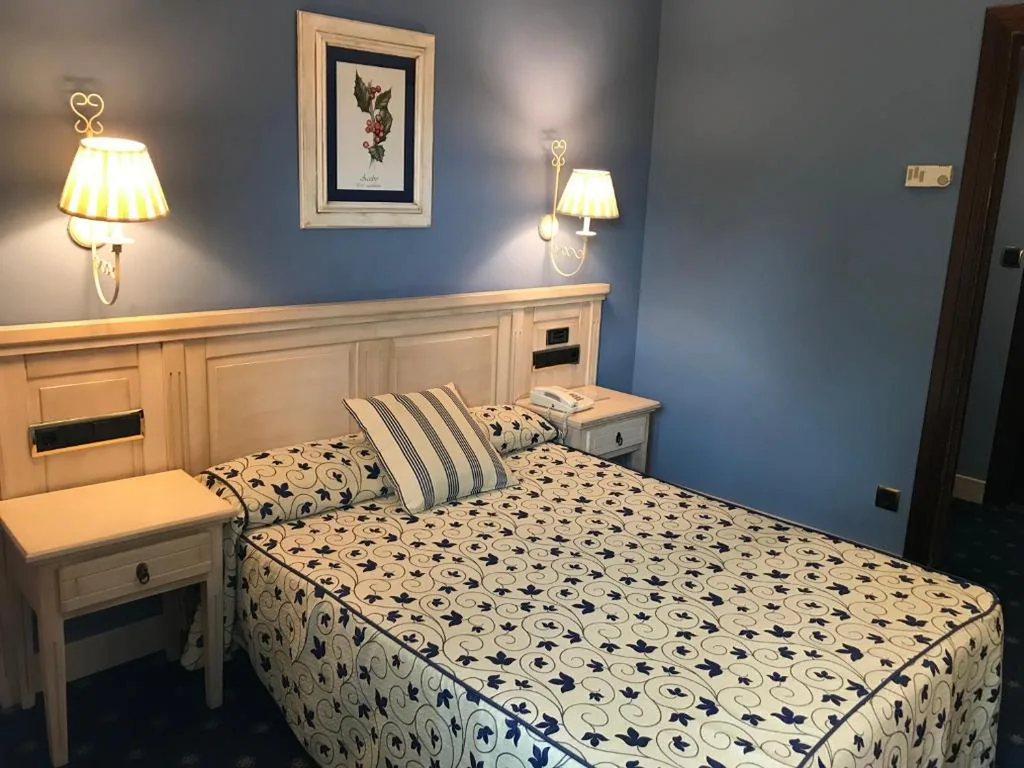 シングルルーム — Hotel Leonor Mirón