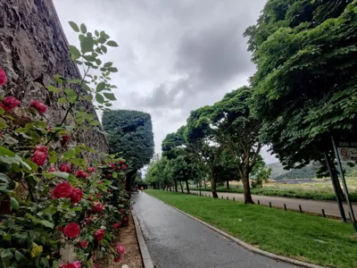 Hotel Leonor Mirón — 写真 9