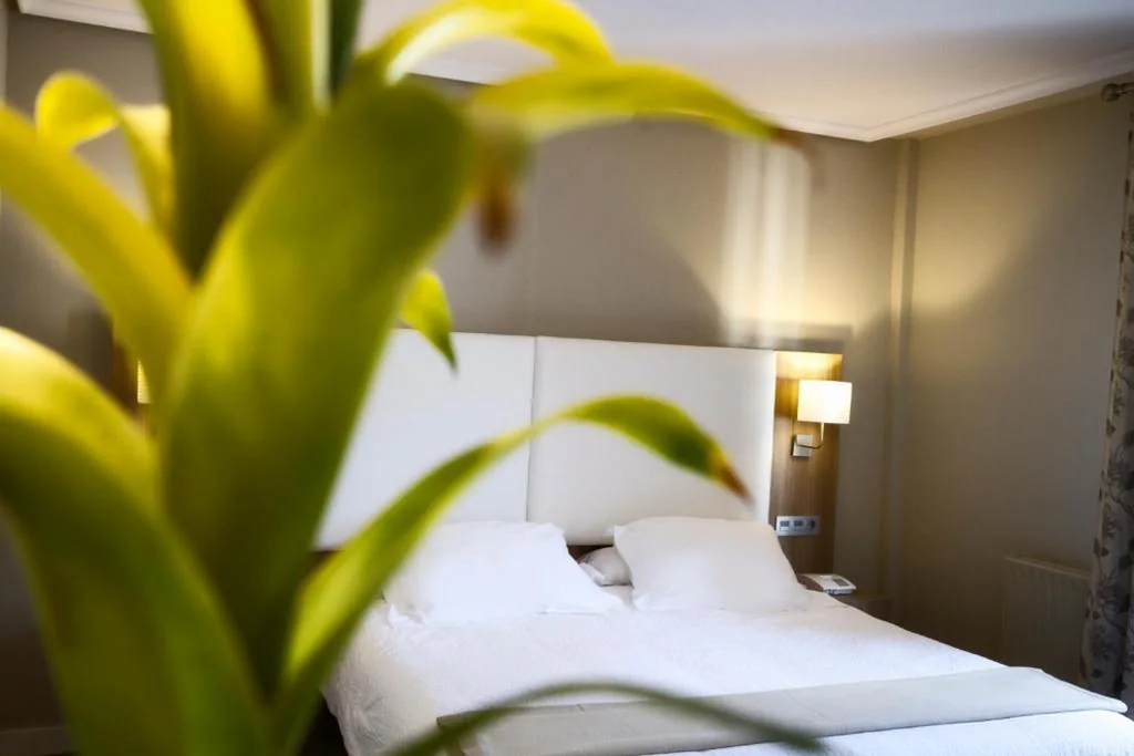 Romantikangebot – Doppelzimmer — Hotel Los Lagos Nature