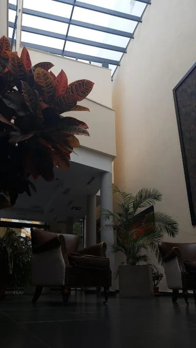Hotel Los Nardos — foto 12