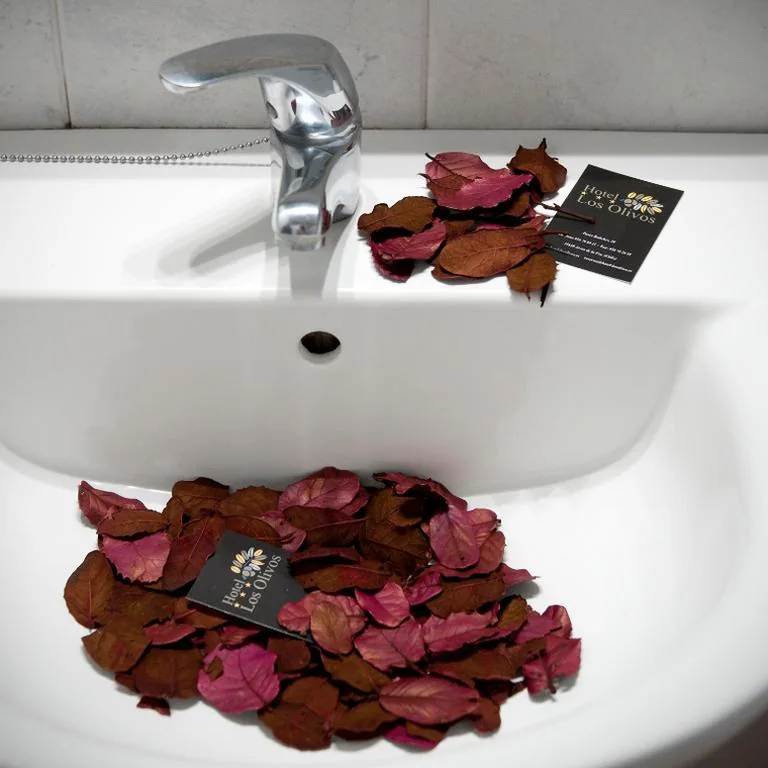 Triple Room — Hotel Los Olivos