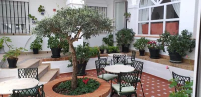 Hotel Los Olivos — photo 10