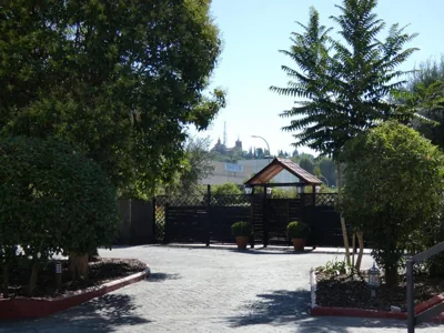Hotel Los Olivos — foto 10