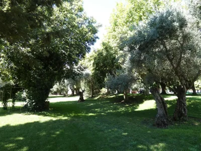 Hotel Los Olivos — foto 12