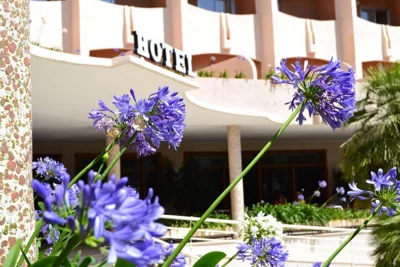 Hotel Los Robles — foto 9