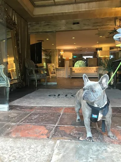 Hotel Luze El Toro — foto 10