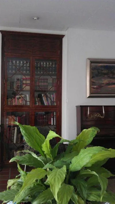 Hotel Maestre — foto 4