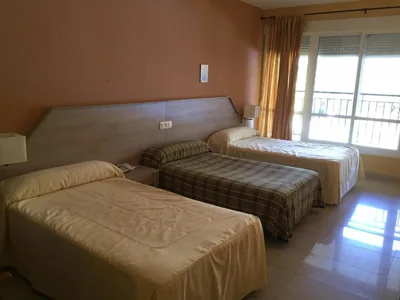 Hotel Manzanares — foto 11