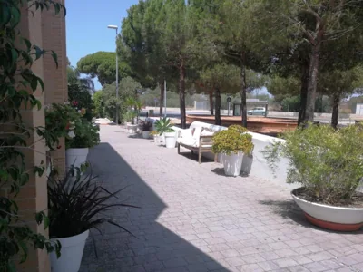Hotel Marisma Sancti Petri — foto 10