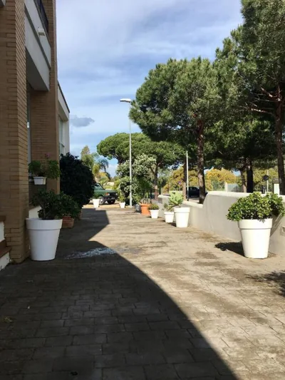 Hotel Marisma Sancti Petri — foto 11