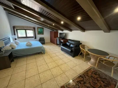 Hotel Mas Palou — foto 2