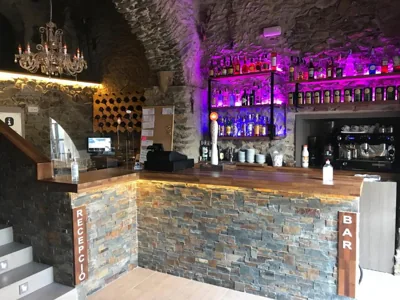 Hotel Mas Palou — foto 8