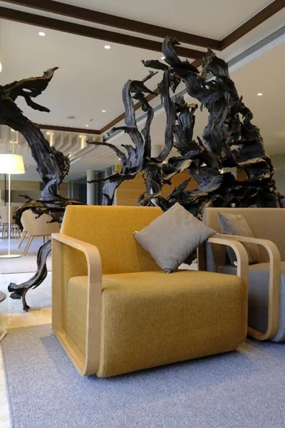 Hotel Mas Solà — Foto 9