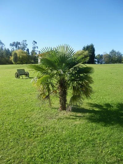 Hotel Matsa B&B — photo 9