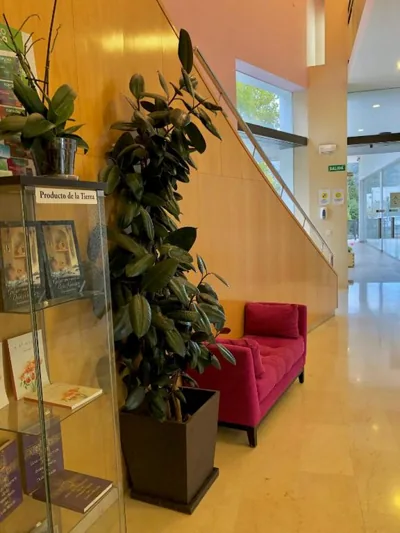 Hotel Mencia Subbética — 照片 9