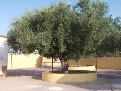 Hotel Mesón del Moro — Foto 5
