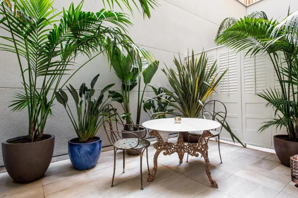 Privilege-kamer met patio — Hotel Midmost by Majestic Hotel Group