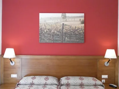 Hotel Milagros Rio Riaza — foto 11