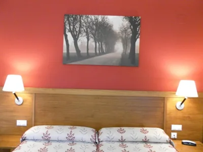Hotel Milagros Rio Riaza — foto 12