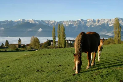 Hotel Mirador — foto 12