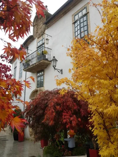 Hotel Monumento Pazo de Orbán — foto 7