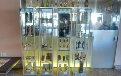 Hotel Moya — foto 4