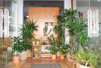 Hotel MR Costa Blanca — foto 9