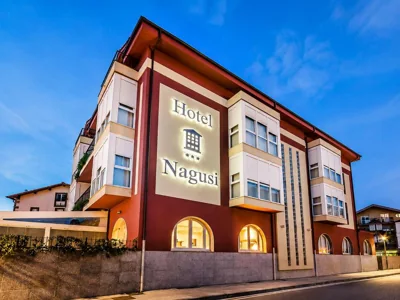 Hotel Nagusi — Foto 8