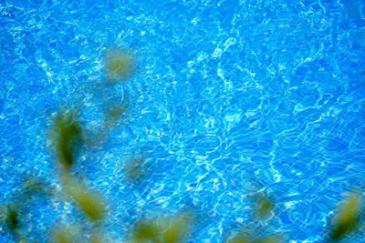 Hotel Navia Santa Ponsa - Adults Only — foto 9