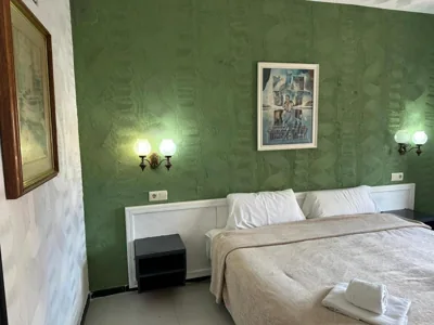 Hotel Nou Roser — foto 10