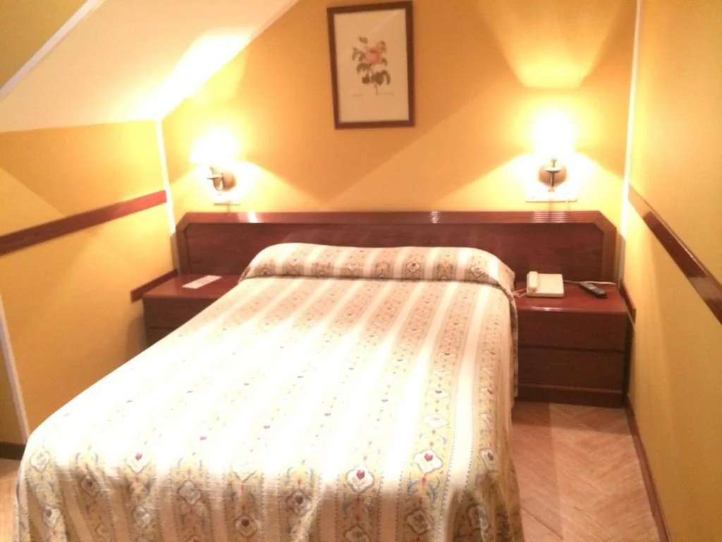バスルーム付きシングルルーム — Hotel Nueva Allandesa