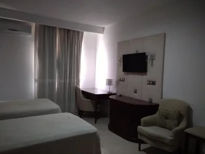 Hotel Nuevo Ara — Foto 4