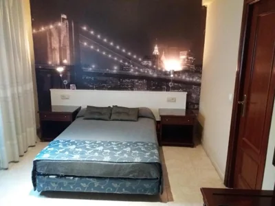 Hotel Nuevo Ara — Foto 8