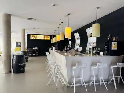 Hotel Palacio Albacete & SPA — foto 11