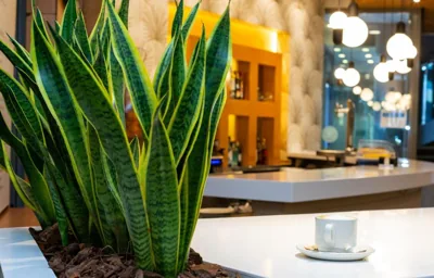 Hotel Palacio de Aiete — 写真 9