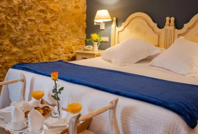 Hotel Palacio De La Viñona — foto 2