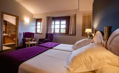 Hotel Palacio De La Viñona — foto 6