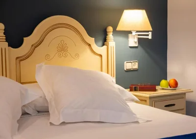 Hotel Palacio De La Viñona — foto 10
