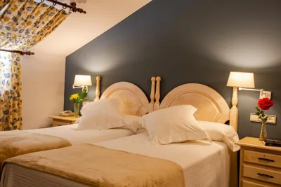 Hotel Palacio De La Viñona — foto 12