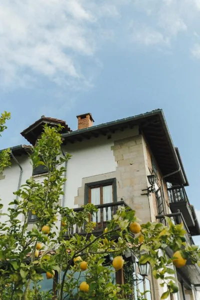 Hotel Palacio La Casona de Cerrazo — foto 4