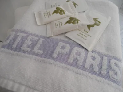 Hotel Paris — photo 3