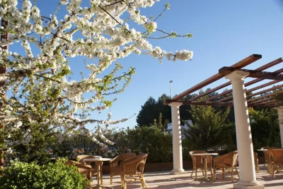 Hotel Patilla Ciudad de Requena — foto 6