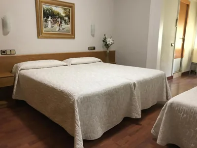 Hotel Pelayo — foto 11