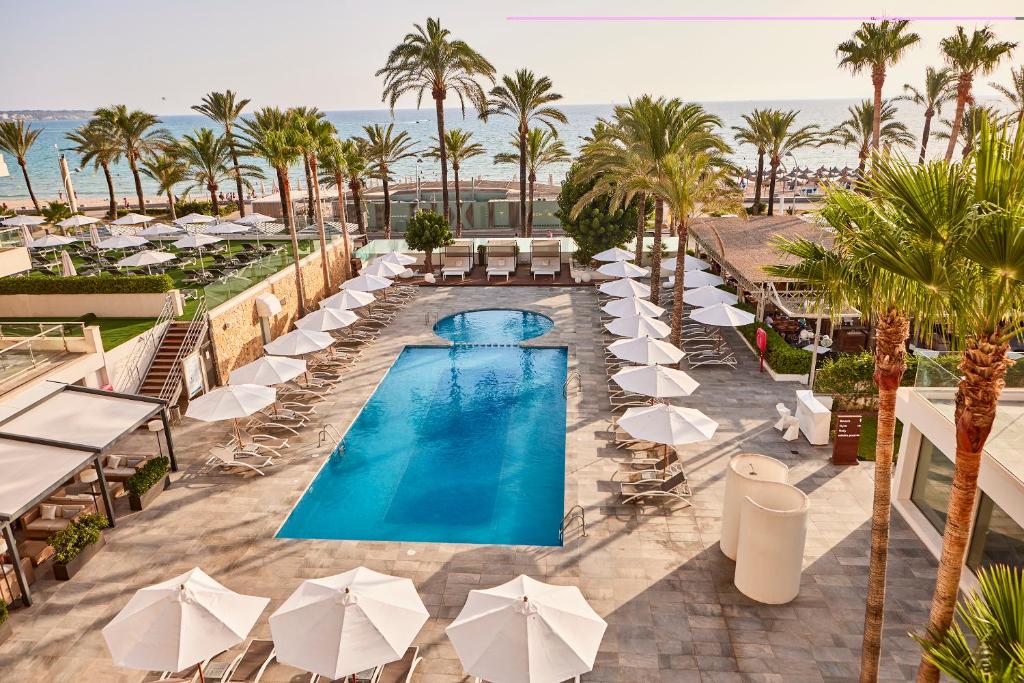 Hotel Playa Golf Adults Only 4 Sup