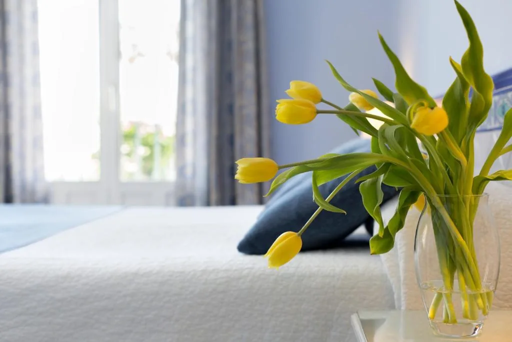 Chambre Double Confort — Hotel Plaza Cavana